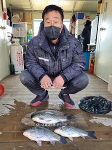 고삼지 사짜붕어는 묻급입니다!!