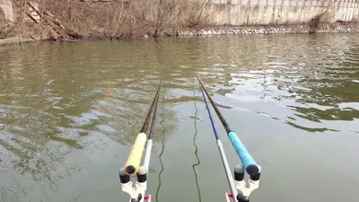 아산 명품 월랑낚시터 3월 네번째 조황이야기입니다...^^