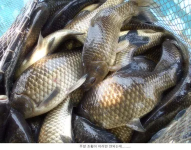 갑갑한 주말조황입니다....