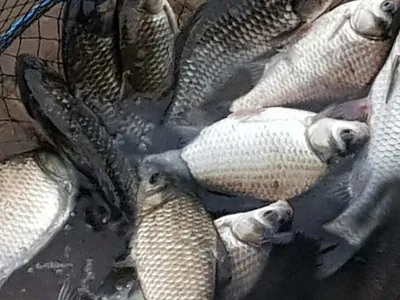 아름다운장계지에서