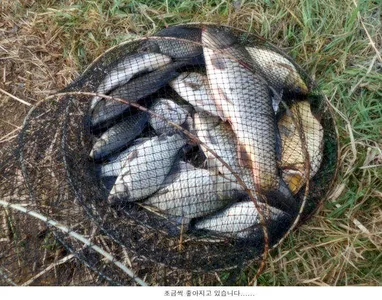 어제보다는 오늘을 기대해봅니다....