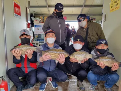 고삼지 황금빛 사짜 붕어들의 반란!!