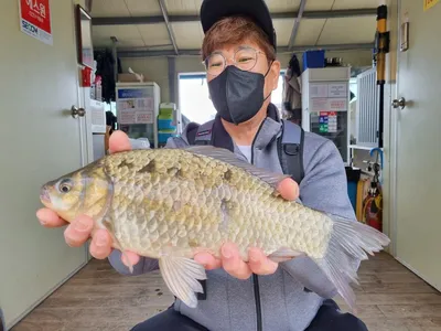 고삼지 수몰및 물골포인트 핫!!