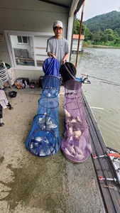 양평 힐링 수곡나낚시터 8월 셋째주 주말 붕어소식~