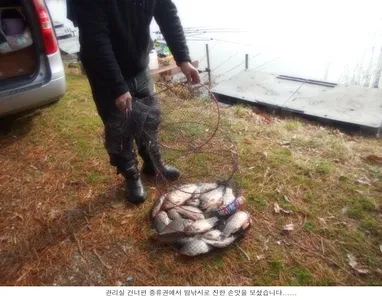 씨알과 마릿수 둘다 최고 입니다..