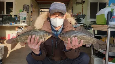 고삼지 상류권 조황정보입니다.