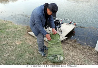 토종터 신봉지 에서 시원한 입질을.....