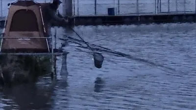 아산 명품 월랑낚시터 5월 두번째 조황 이야기입니다...^^