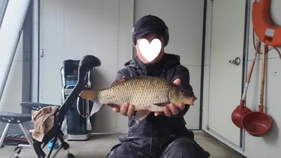 (재공지)양평 수곡낚시터 좌대할인 및 선물증정 / 최대어 순위 및 주초조황