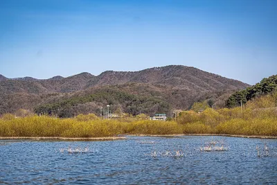 안성 두메낚시터 3월 31일 조황정보