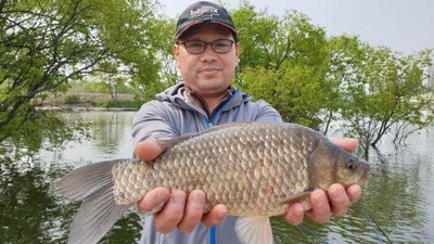 아산 명품 월랑낚시터 5월 첫번째 조황이야기입니다...^^