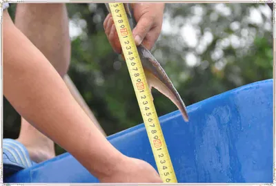 [유일낚시터] 샤크헌터에 도전해보세요~~!