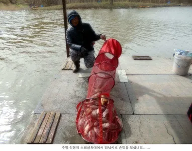 붕어가 나오니 낚시할맛납니다....