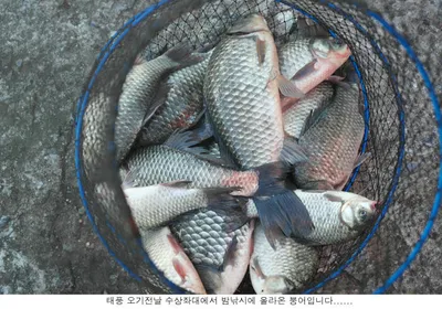 태풍이 지나가고 다시시작합니다...