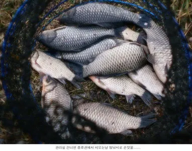 무슨 비가 이리도 자주 내리는지....