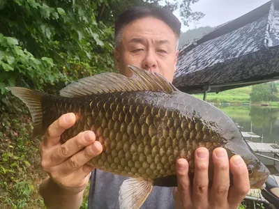 용담대물낚시터 