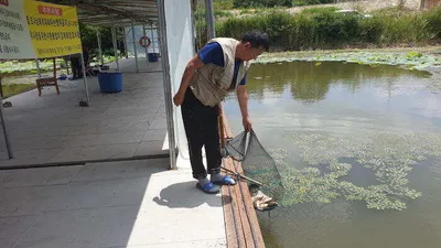 아산 명품 월랑낚시터 7월 세번째 조황이야기입니다...^^