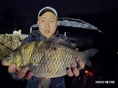 조황과 방류 4짜들 