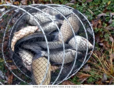 경력을 무시하면 안되요....