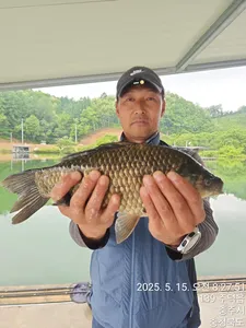 화곡낚시터 조황정보 