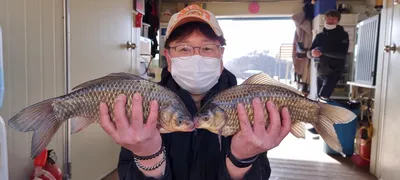 22년도 고삼지 첫붕어 소식을 전합니다