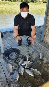 고삼지 가을시즌 생미끼의 계절