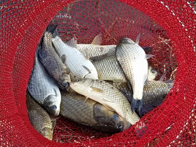 아름다운장계지에서