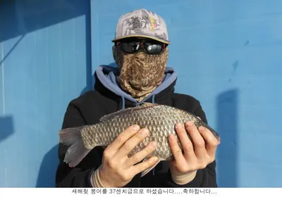 간간히 올아오는 씨알좋은 붕어로....