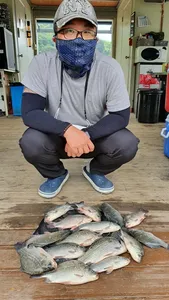 고삼지 타작 양어장 수준입니다.