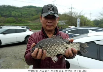 신봉지 토종대물이 움직입니다....