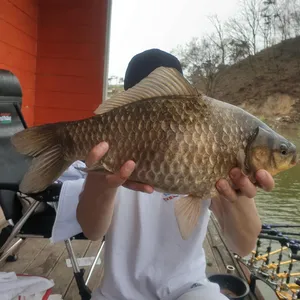 계속되는 사짜붕어 기록중!! 고삼지 상류권 포인트
