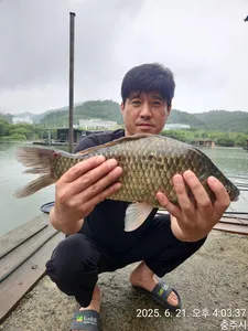 화곡낚시터 주말조황 