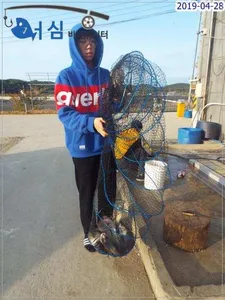 4월28일 어심바다낚시터조황 