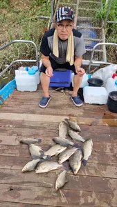 고삼지 틈새 포인트 붕어조황!!