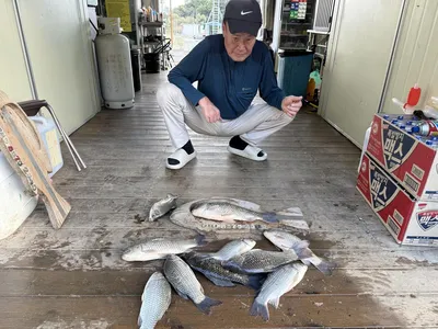 고삼지 상류권 조황입니다.