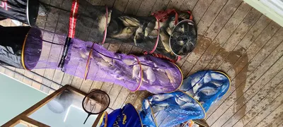 양평 힐링 수곡낚시터 3월셋째주 주말 붕어소식~