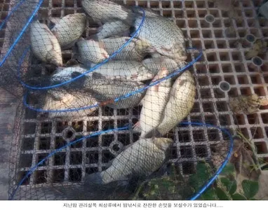 어제보다는 오늘을 기대해봅니다....