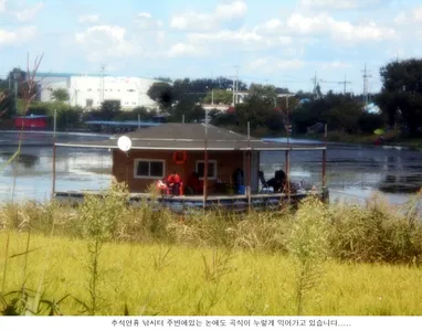 추석연휴 첫날 조황입니다...