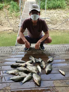 고삼지 9호태풍 상황소식입니다.