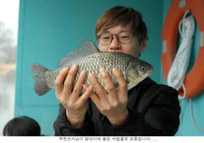 새해 처음올리는 조황입니다...