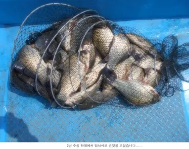 주중에는 나오고 있는데.....