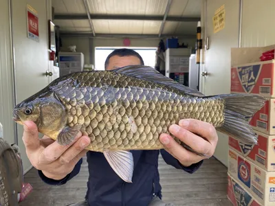 고삼저수지 최고의 포인트!! 조황입니다.