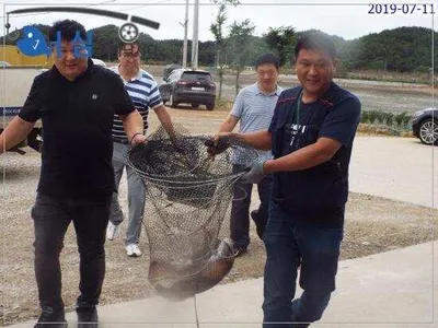 7월11일어심바다낚시터조황 