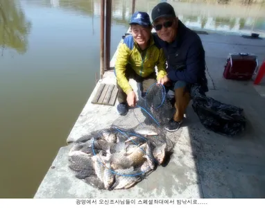 주중 신봉지 시원하게 올려줍니다...