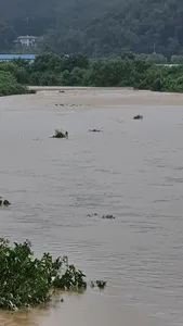 고삼저수지 폭우로 인한 실시간입니다.