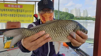 아산 명품 월랑낚시터 7월 마지막 조황이야기입니다...^^