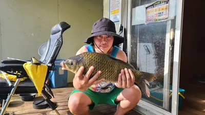 힐링 수곡낚시터 점점 살아나는 조황 5짜붕어 월간/주간 베스트 갱신