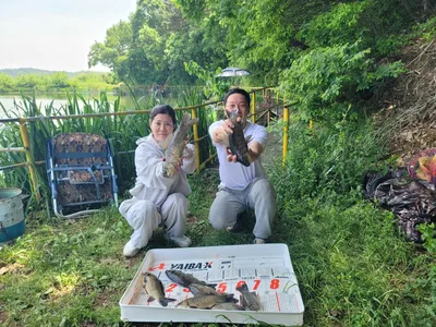 배수없는 항곡낚시터