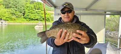 수,목 주중반 힐링 양평 수곡낚시터 조황 및 오늘 붕어 방류