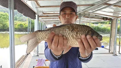 아산 명품 월랑낚시터 6월 네번째 조황이야기입니다...^^